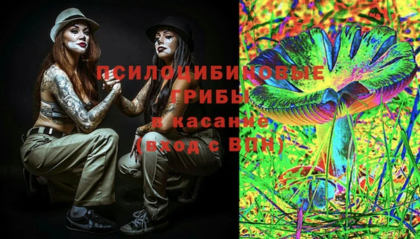 винт Наволоки