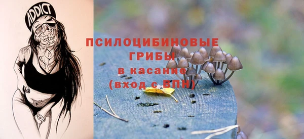винт Наволоки