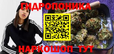 дмт Заводоуковск