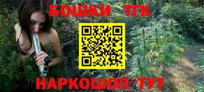 дмт Заводоуковск