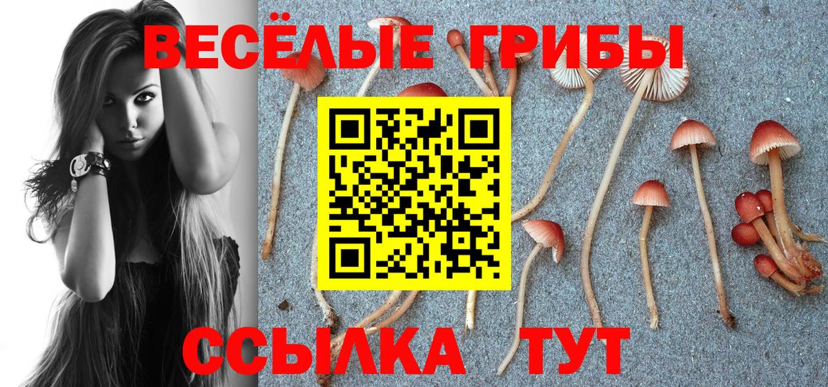 Псилоцибиновые грибы Psilocybine cubensis  Псилоцибиновые грибы GOLDEN TEACHER  Вход с VPN  Надым 