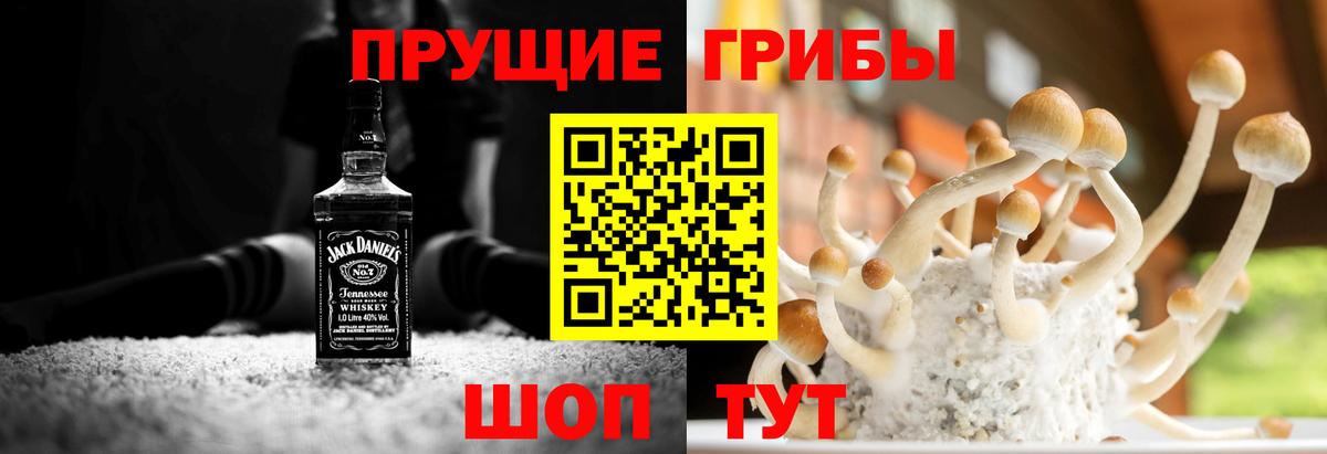 Галлюциногенные грибы прущие грибы Надым